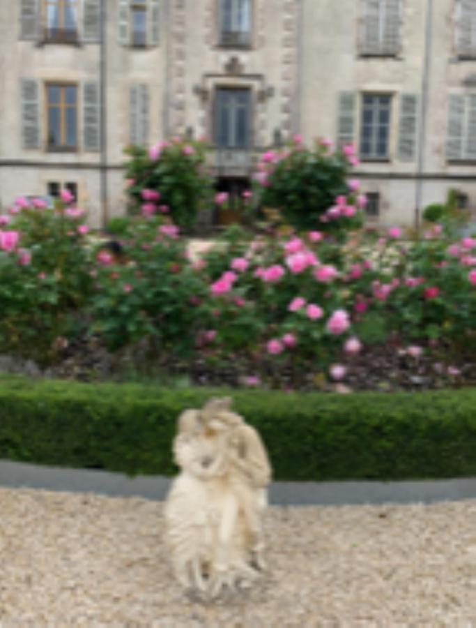 Chateau Pont Jarno B&B Champdeniers Exterior photo