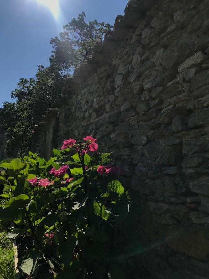 Chateau Pont Jarno B&B Champdeniers Exterior photo
